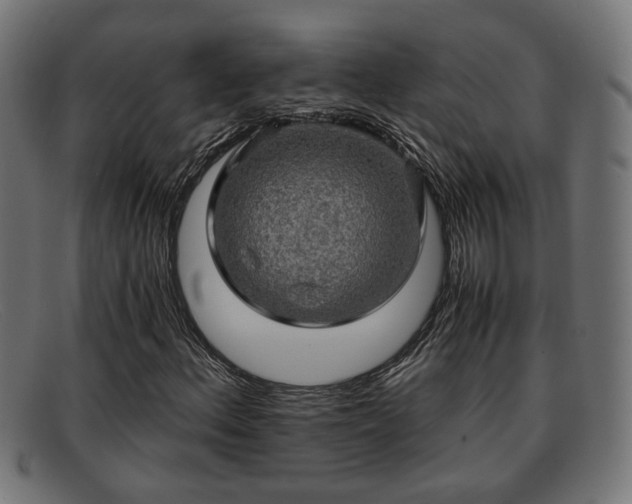 X0000091981156200709131407