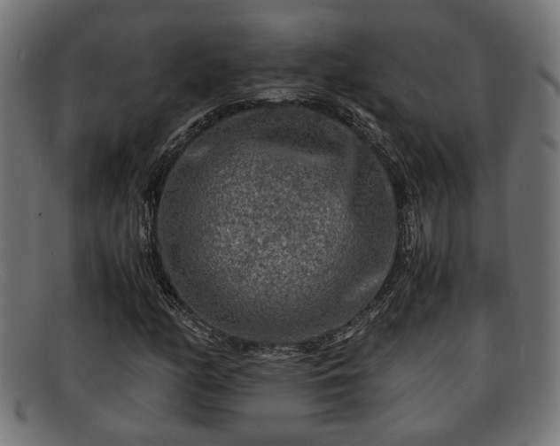 X0000091981158200709131406