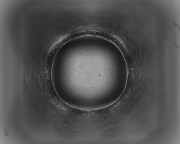 X0000091981159200709131406