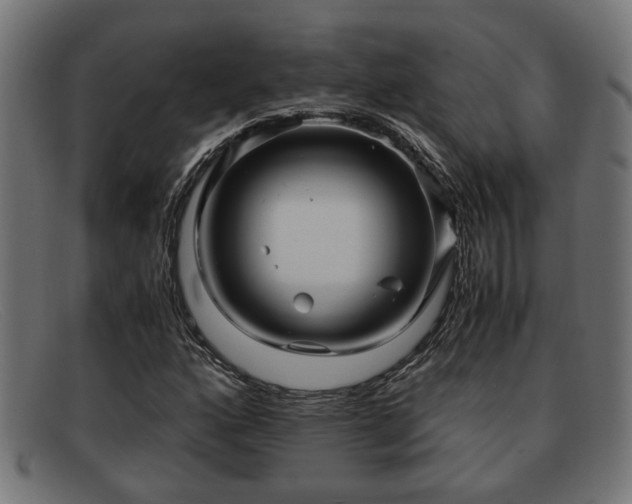 X0000091981160200709131406