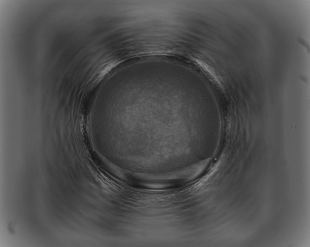 X0000091981161200709131406