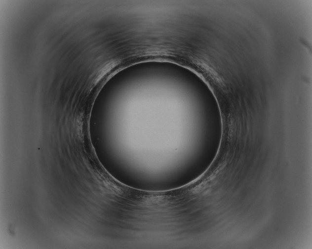 X0000091981162200709131406