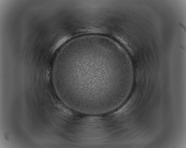 X0000091981163200709131406