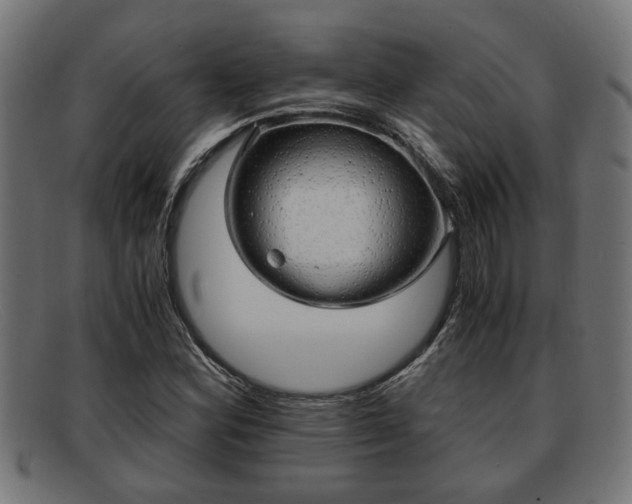 X0000091981164200709131406