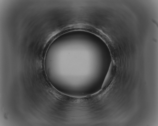 X0000091981166200709131406