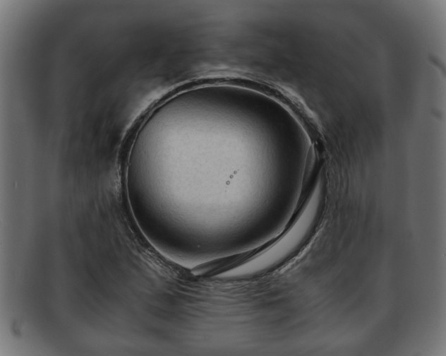 X0000091981167200709131406