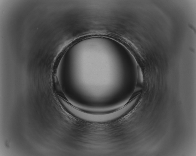 X0000091981168200709131406