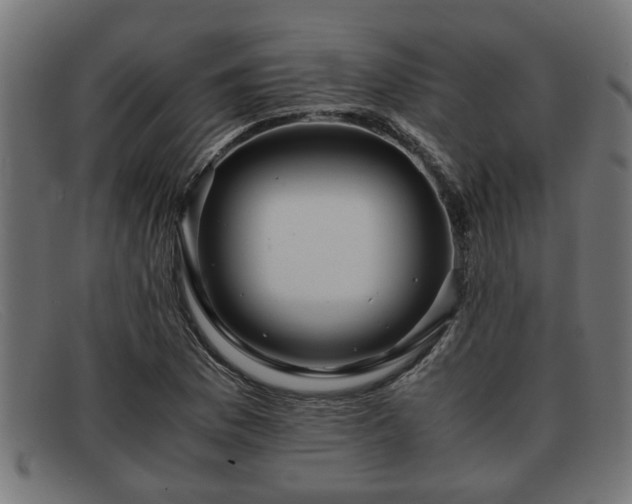 X0000091981169200709131406