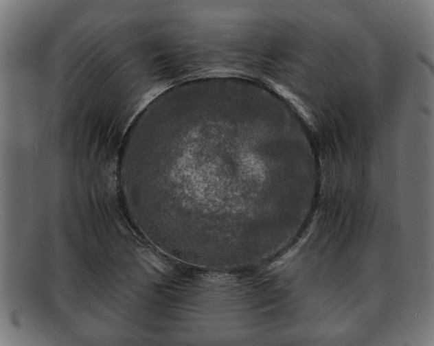 X0000091981170200709131406