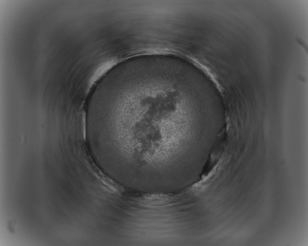 X0000091981171200709131406