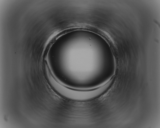 X0000091981172200709131406