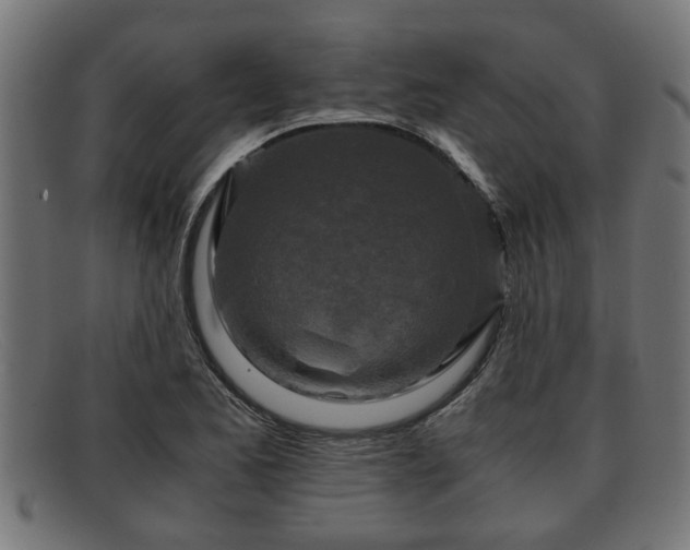 X0000091981173200709131406