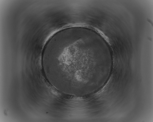 X0000091981174200709131406