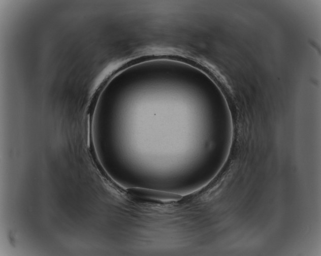 X0000091981175200709131406