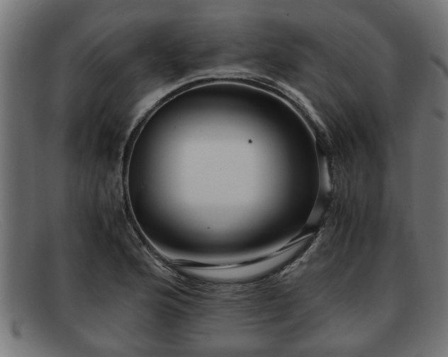 X0000091981176200709131406