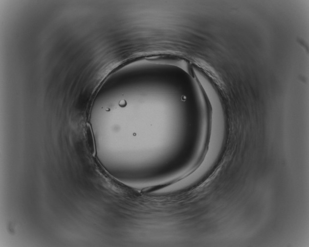 X0000091981177200709131406