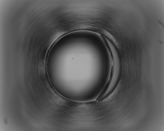 X0000091981178200709131406