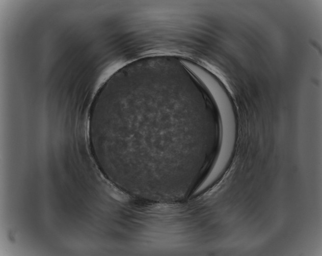 X0000091981179200709131406