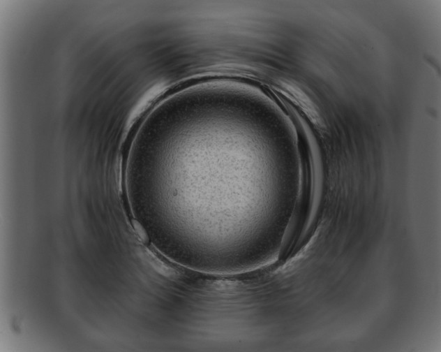 X0000091981180200709131406