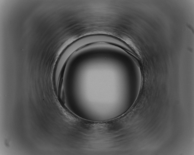 X0000091981181200709131406