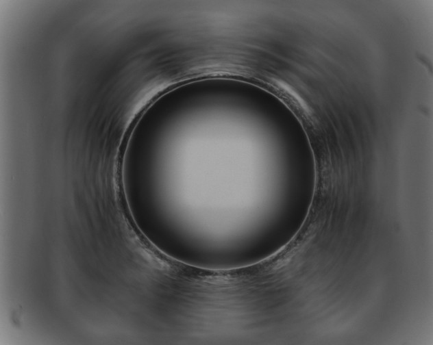 X0000091981182200709131406