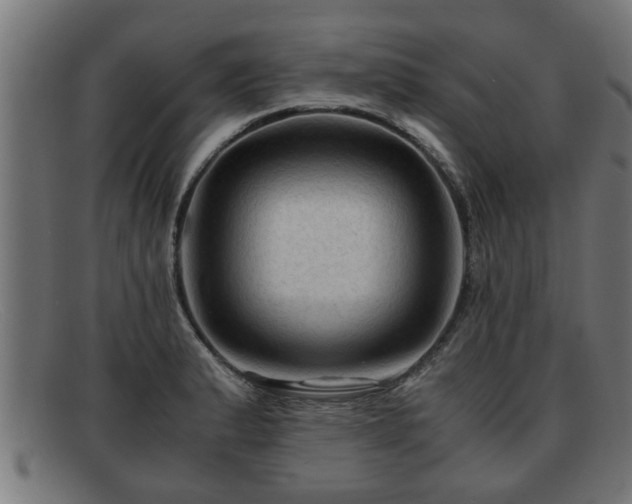 X0000091981183200709131406