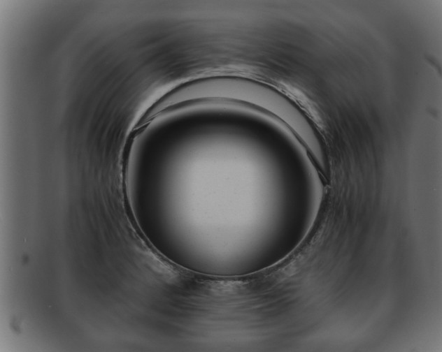 X0000091981184200709131406