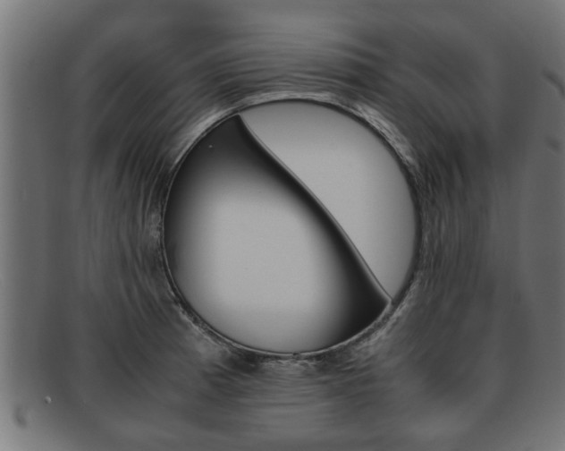 X0000091981185200709131406