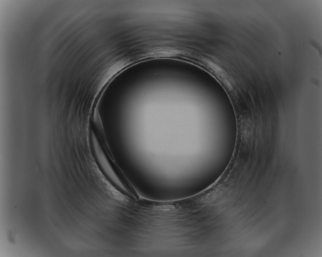 X0000091981186200709131406