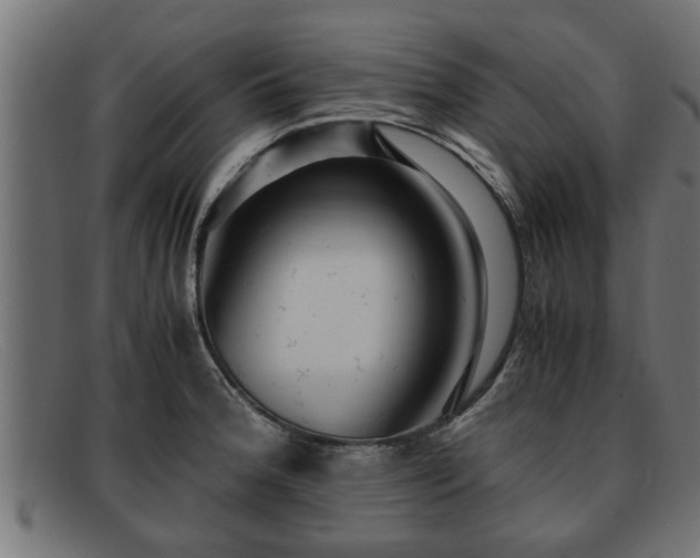 X0000091981188200709131406