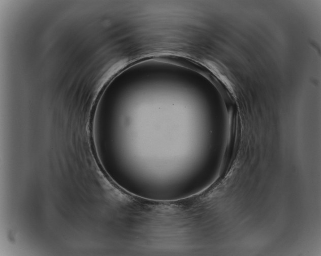 X0000091981189200709131406