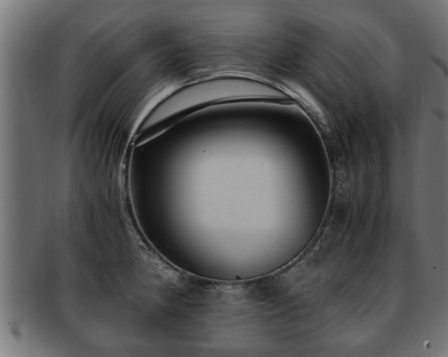 X0000091981190200709131406