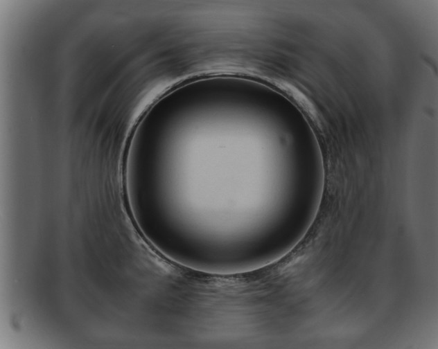 X0000091981191200709131406