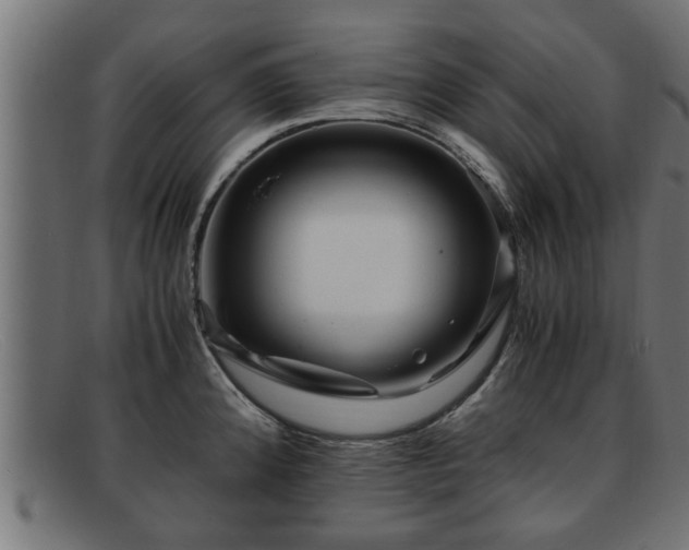 X0000091981192200709131406