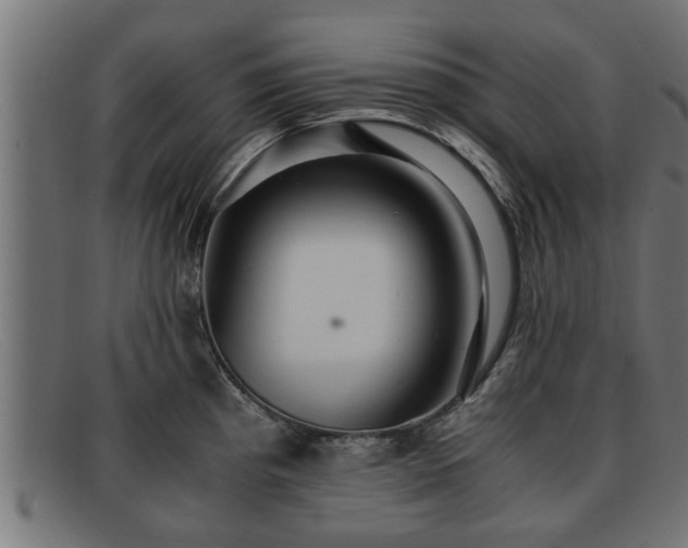 X0000091981193200709131406