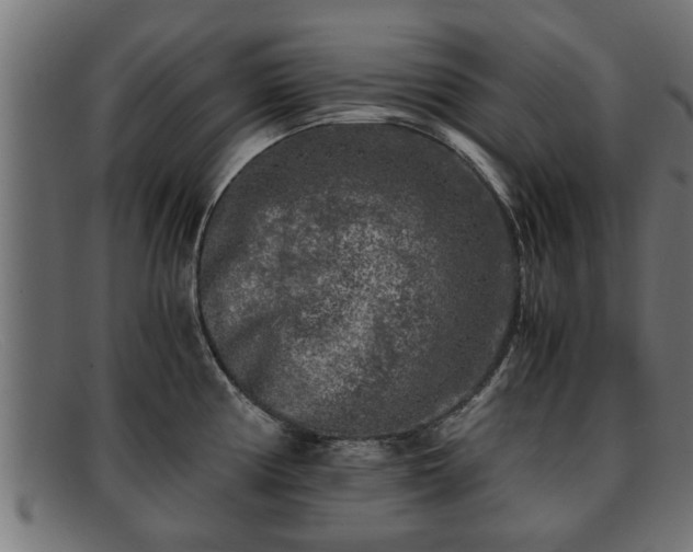 X0000091981194200709131406