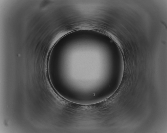 X0000091981195200709131406