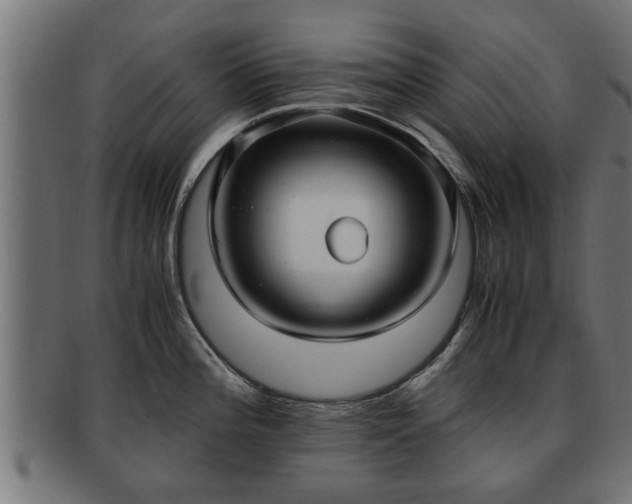 X0000091981196200709131406