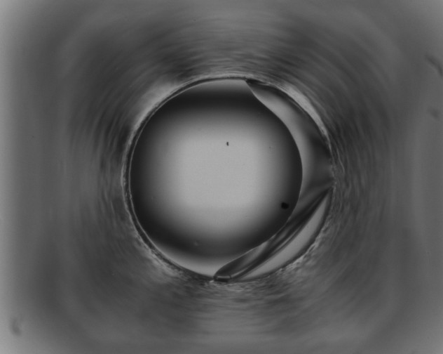 X0000091981197200709131406