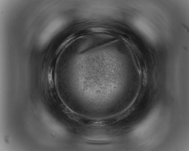 X0000091981198200709131406