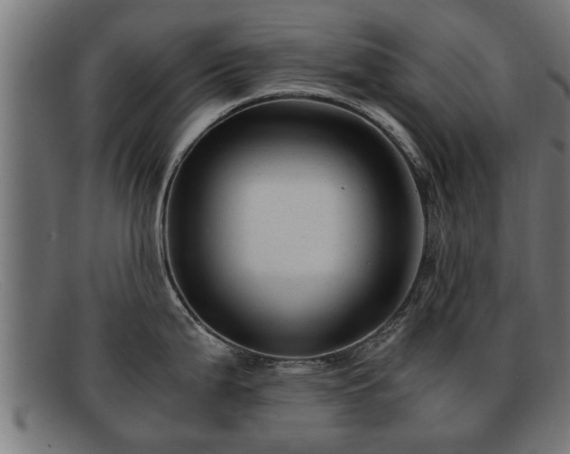 X0000091981199200709131406