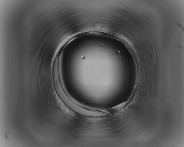 X0000091981200200709131406