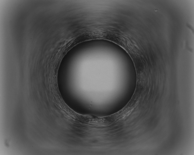 X0000091981201200709131405