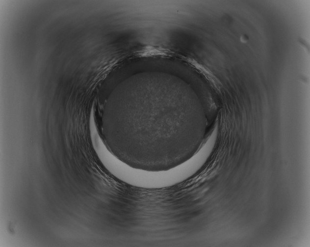 X0000091981202200709131405