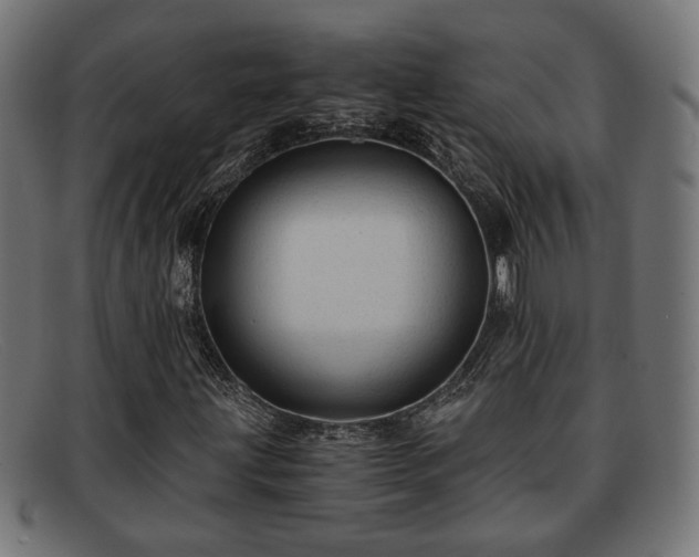 X0000091981203200709131405