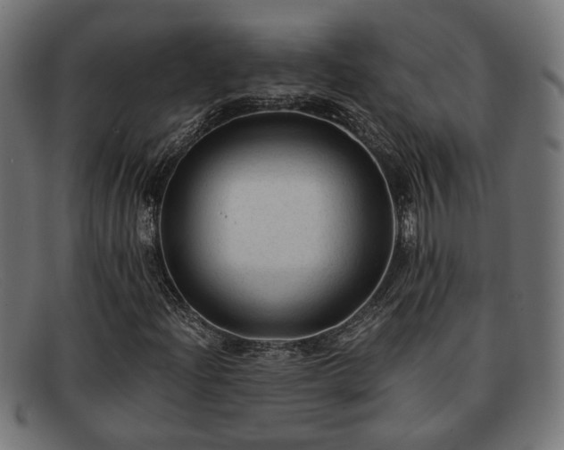 X0000091981204200709131405