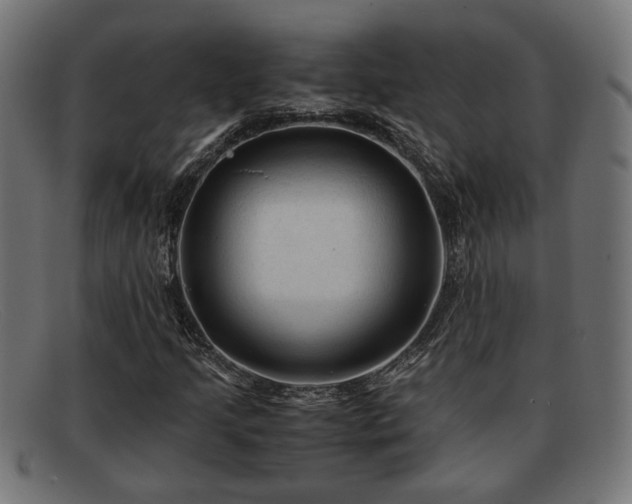 X0000091981205200709131405