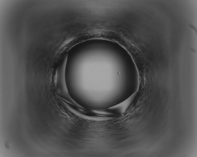 X0000091981206200709131405