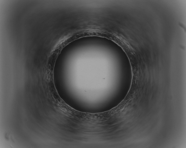 X0000091981207200709131405