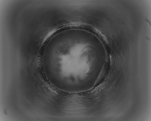 X0000091981208200709131405